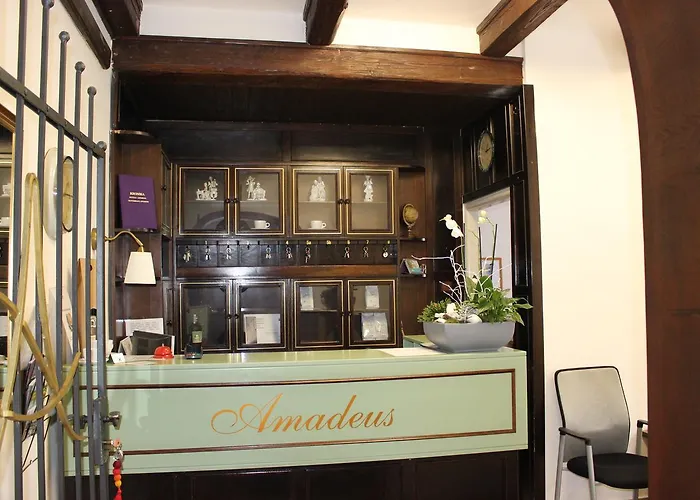 Amadeus 3* Ceske Budejovice